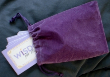 Purple Velour Drawstring Bag