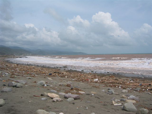 Debris at Palisadoes